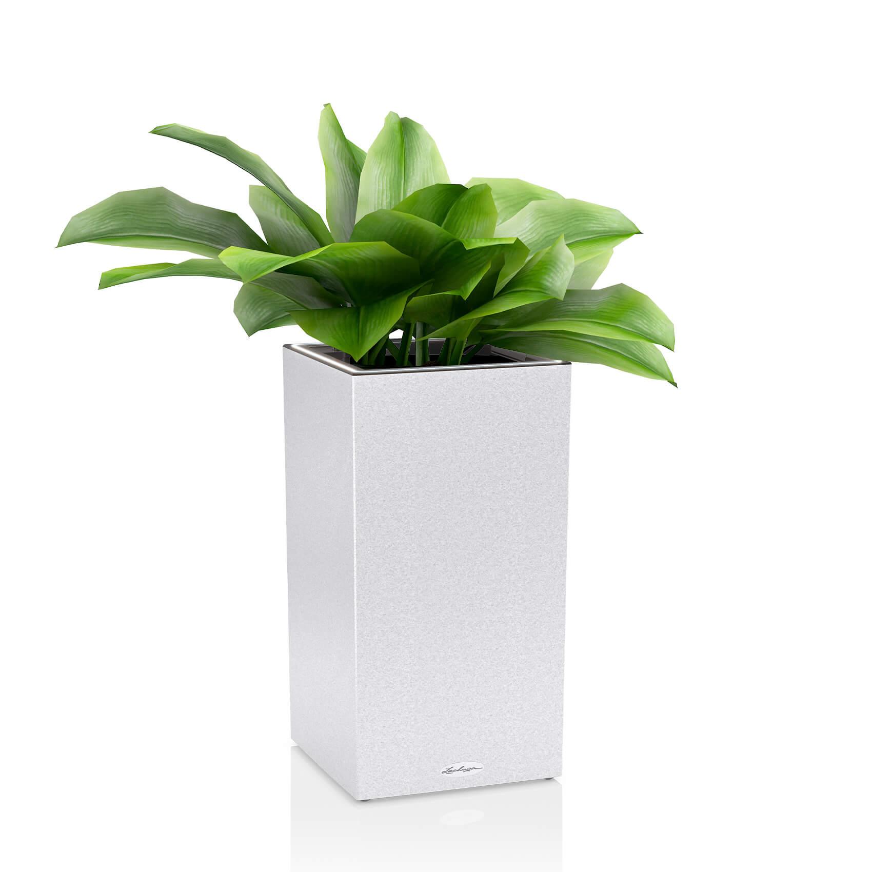 CANTO Stone 30 high LED quartz white